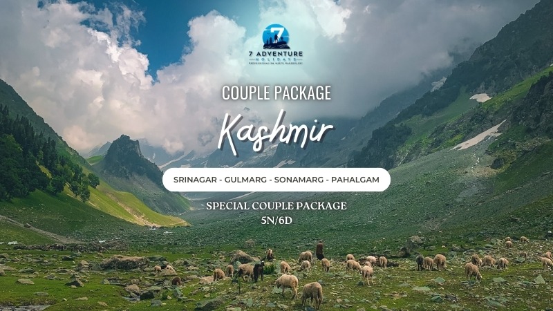 Kashmir (Couple Package)